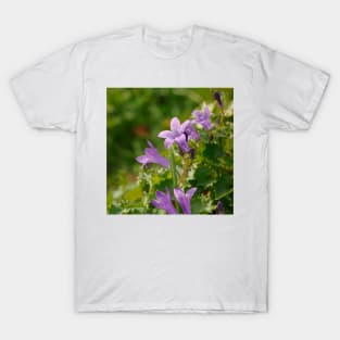 Campanula portenschlagiana Schult. T-Shirt